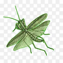 À¥³æ ó«òë Å·ÖÞó«òë-¿ÕÈôÍø À¥³æ ó«òë Å·ÖÞó«òë-¿ÕÈôÍø