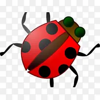 À¥³æ ư³æ¼×³æ »æ»-¿ÕÈôÍø À¥³æ ư³æ¼×³æ »æ»-¿ÕÈôÍø