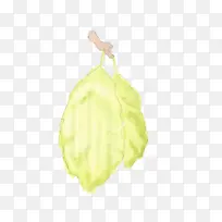 水果 黄色 叶子-空若网 水果 黄色 叶子-空若网