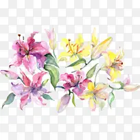 ˮ�ʻ� �ͻ� ����-������