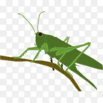 水彩画 油漆 湿墨-空若网 水彩画 油漆 湿墨-空若网