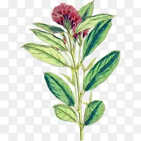 水彩画 颜料 湿墨-空若网 水彩画 颜料 湿墨-空若网