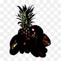 树 水果 植物-空若网 树 水果 植物-空若网