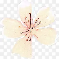 植物 复古 花瓣-空若网 植物 复古 花瓣-空若网