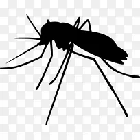 蚊子 昆虫 剪影-空若网 蚊子 昆虫 剪影-空若网