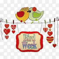 爱鸟 鸟 心-空若网 爱鸟 鸟 心-空若网