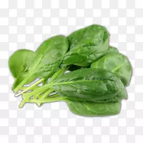 �߲�֭Ҷ�߲�ʳ�ò���-������