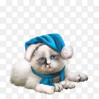 绘画 博客 圣诞节-空若网 绘画 博客 圣诞节-空若网