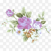 花 玫瑰 植物-空若网 花 玫瑰 植物-空若网