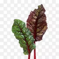 甜菜叶-空若网 甜菜叶-空若网