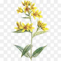 Ë®²Ê» ÓÍÆá ʪī-¿ÕÈôÍø Ë®²Ê» ÓÍÆá ʪī-¿ÕÈôÍø