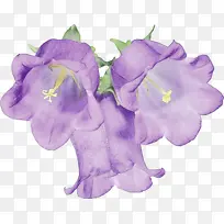 ˮ�� ���� ʪī-������