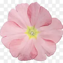 水彩 颜料 湿墨-空若网 水彩 颜料 湿墨-空若网