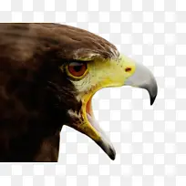 ˮ�ʻ� ���� ʪī-������