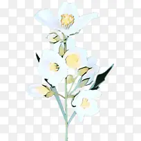 �������� ���� ����-������