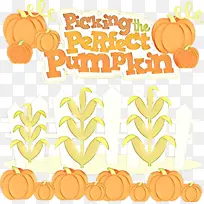 ��ͨ ��ɫ ��ɫ-������