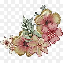 ��ɫ �� ֲ��-������