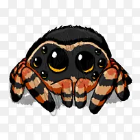 昆虫 口鼻 飞蛾和蝴蝶-空若网 昆虫 口鼻 飞蛾和蝴蝶-空若网