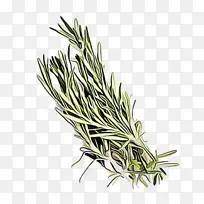 ÃÔµüÏã Ö²Îï ²Ý-¿ÕÈôÍø ÃÔµüÏã Ö²Îï ²Ý-¿ÕÈôÍø