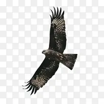 Ë®²Ê» ÑÕÁÏ ÊªÄ«Ë®-¿ÕÈôÍø Ë®²Ê» ÑÕÁÏ ÊªÄ«Ë®-¿ÕÈôÍø