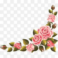 粉色 花朵 切花-空若网 粉色 花朵 切花-空若网