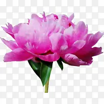 水彩 颜料 湿墨-空若网 水彩 颜料 湿墨-空若网