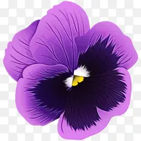 水彩画 颜料 湿墨-空若网 水彩画 颜料 湿墨-空若网