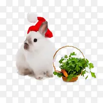 水彩画 颜料 湿墨水-空若网 水彩画 颜料 湿墨水-空若网