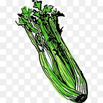 蔬菜 植物 药草-空若网 蔬菜 植物 药草-空若网