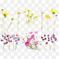 水彩 油漆 湿墨-空若网 水彩 油漆 湿墨-空若网