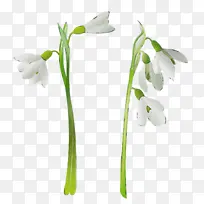 水彩画 颜料 湿墨-空若网 水彩画 颜料 湿墨-空若网