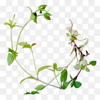 ˮ�ʻ� ���� ʪī-������