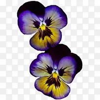 水彩画 颜料 湿墨-空若网 水彩画 颜料 湿墨-空若网