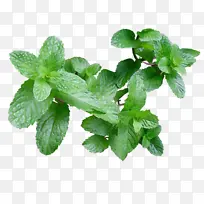 水彩画 油漆 湿墨水-空若网 水彩画 油漆 湿墨水-空若网