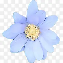 波普艺术 复古 开花植物-空若网 波普艺术 复古 开花植物-空若网