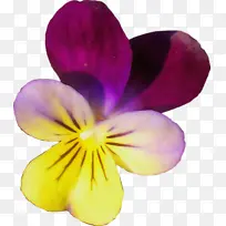 水彩画 颜料 湿墨-空若网 水彩画 颜料 湿墨-空若网