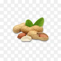 花生 坚果 食品-空若网 花生 坚果 食品-空若网