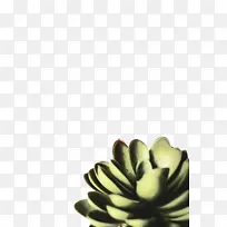 水彩画 颜料 湿墨-空若网 水彩画 颜料 湿墨-空若网