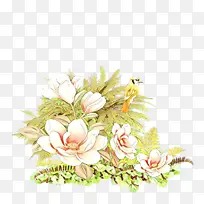 卡通 花卉 切花-空若网 卡通 花卉 切花-空若网