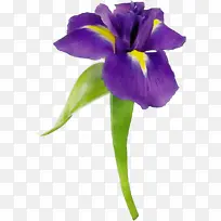 水彩画 颜料 湿墨-空若网 水彩画 颜料 湿墨-空若网