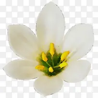 ˮ�� ���� ʪī-������