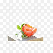 ʳƷ װ�� ֲ��-������