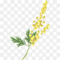 ˮ�ʻ� ���� ʪī-������