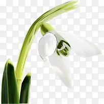 水彩画 颜料 湿墨-空若网 水彩画 颜料 湿墨-空若网