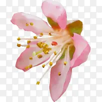 ˮ�� ���� ʪī-������