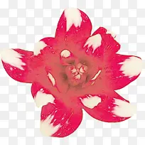 水彩 油漆 湿墨-空若网 水彩 油漆 湿墨-空若网