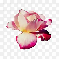 Ë®²Ê ÑÕÁÏ ÊªÄ«-¿ÕÈôÍø Ë®²Ê ÑÕÁÏ ÊªÄ«-¿ÕÈôÍø