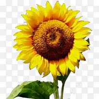 水彩画 颜料 湿墨-空若网 水彩画 颜料 湿墨-空若网