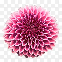 ���� ������ ��ɫ-������