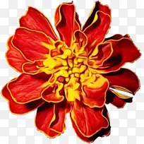 水彩 颜料 湿墨-空若网 水彩 颜料 湿墨-空若网